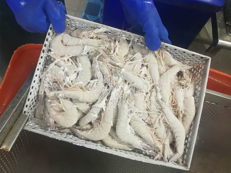 【水产行业】液氮速冻虾