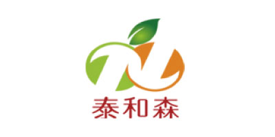 集团概况