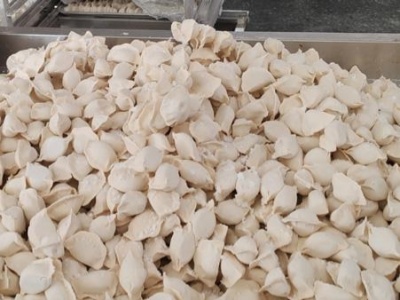 【预制菜行业】液氮速冻饺子